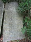 image of grave number 543921